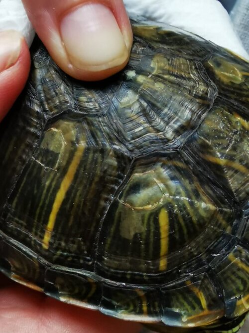 WhatsApp Image 2022-05-06 at 19.49.04 (10).jpeg