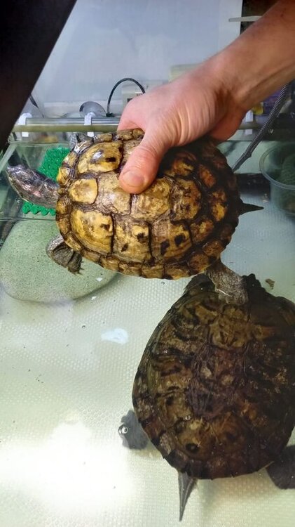 photo_2022-05-22_22-37-00 (2).jpg