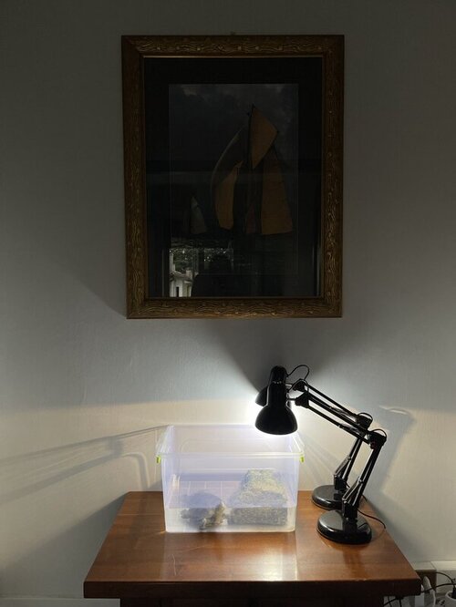 photo_2022-05-30 01.00.08.jpeg