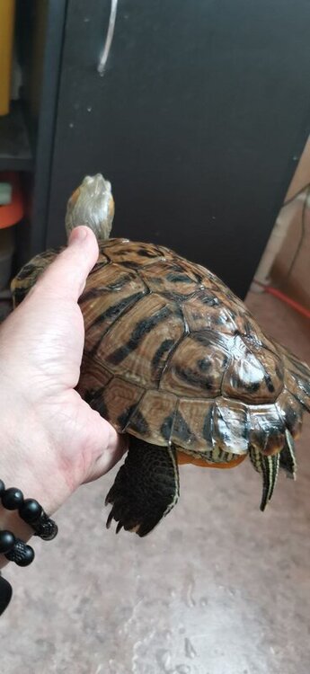 photo_2022-05-18_12-16-48 (2).jpg