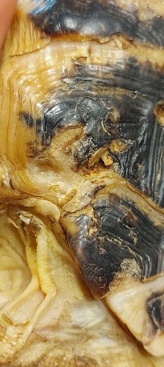 20220525_184254 — копия.jpg