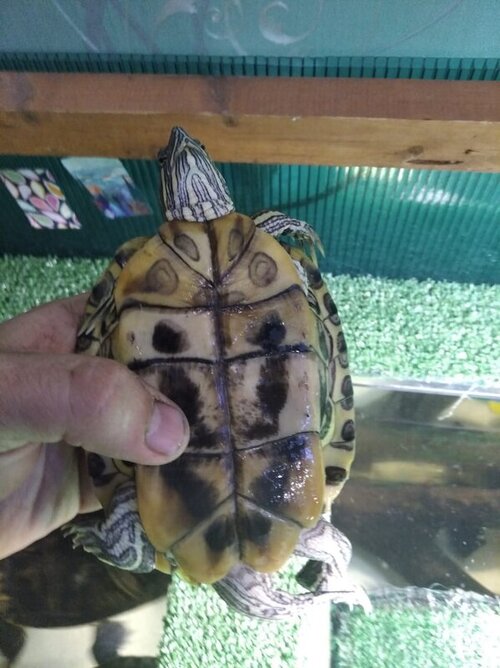 WhatsApp Image 2022-05-07 at 22.44.46.jpeg