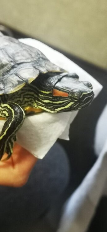 WhatsApp Image 2022-05-06 at 19.49.04 (6).jpeg