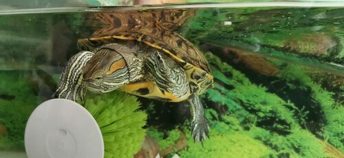 photo_2022-05-18_12-16-47 (3).jpg