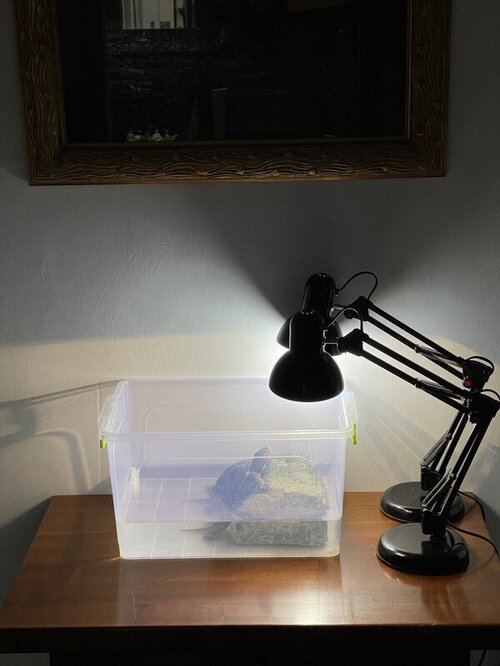 photo_2022-05-30 01.00.13.jpeg