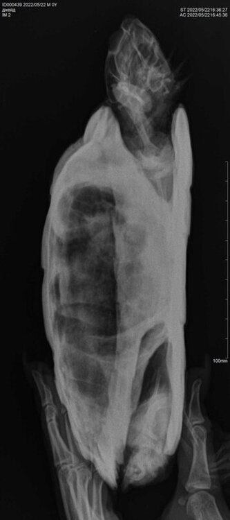 photo_2022-05-22_22-32-34 (2).jpg