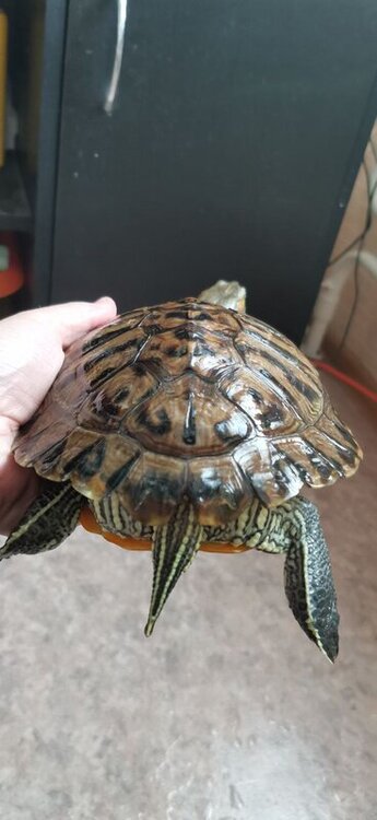 photo_2022-05-18_12-16-48 (3).jpg