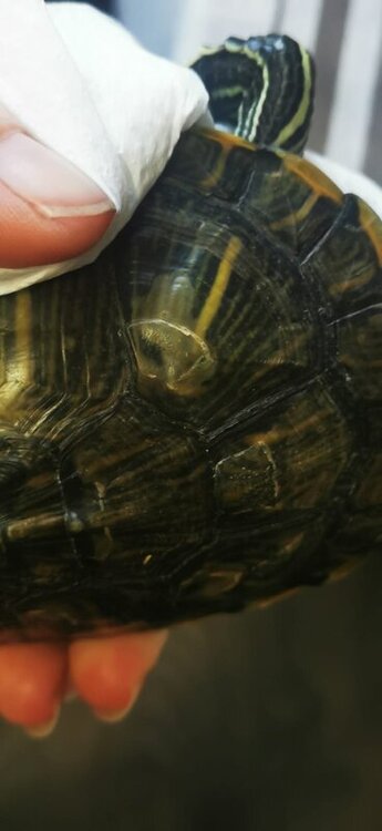 WhatsApp Image 2022-05-06 at 19.49.04 (5).jpeg