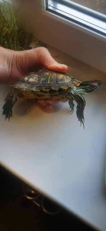 WhatsApp Image 2022-05-06 at 19.49.03 (5).jpeg