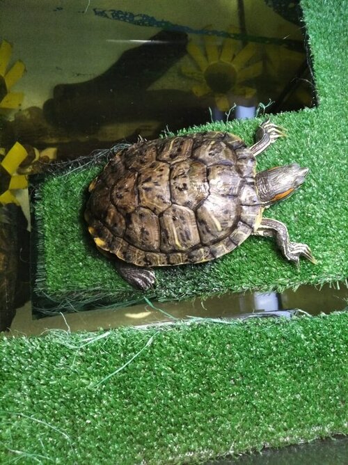 WhatsApp Image 2022-05-07 at 22.44.46 (2).jpeg