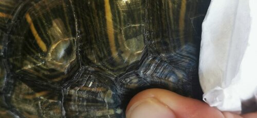 WhatsApp Image 2022-05-06 at 19.49.04 (7).jpeg