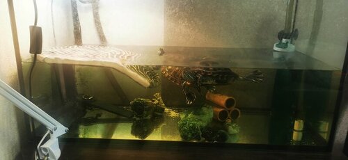 WhatsApp Image 2022-05-06 at 19.49.03.jpeg