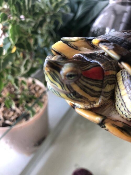 photo1653317976 (2).jpeg