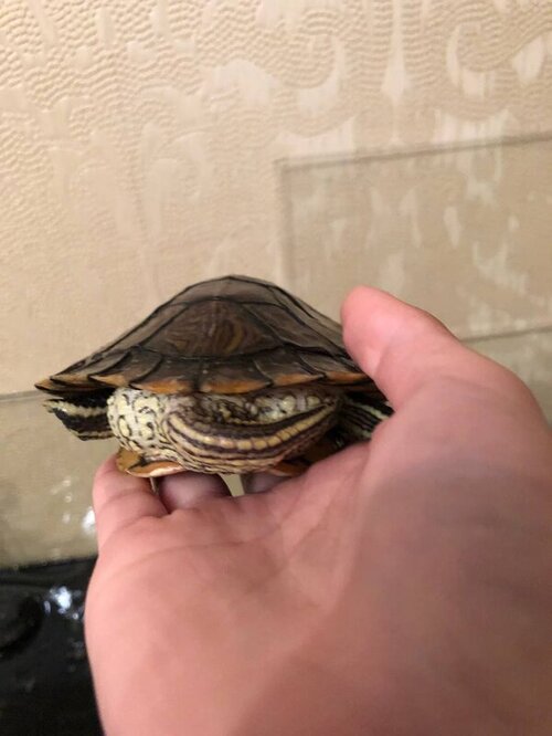 photo1656450360 (1).jpeg