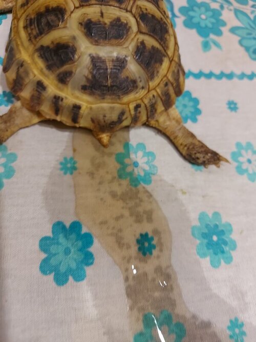 20220615_223218 — копия.jpg