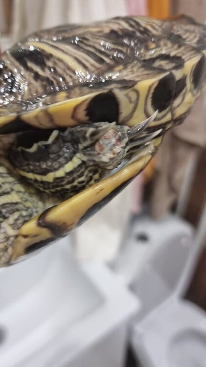 WhatsApp Image 2022-06-10 at 14.16.34.jpeg