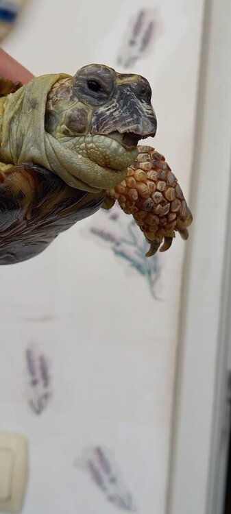 WhatsApp Image 2022-06-22 at 06.00.34.jpeg