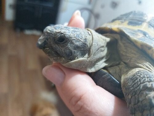 WhatsApp Image 2022-06-06 at 16.27.52.jpeg