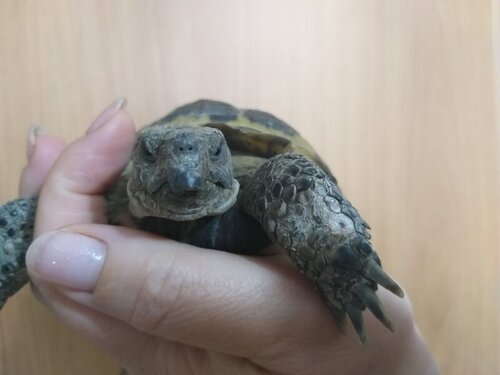 WhatsApp Image 2022-06-06 at 16.27.51 (1).jpeg