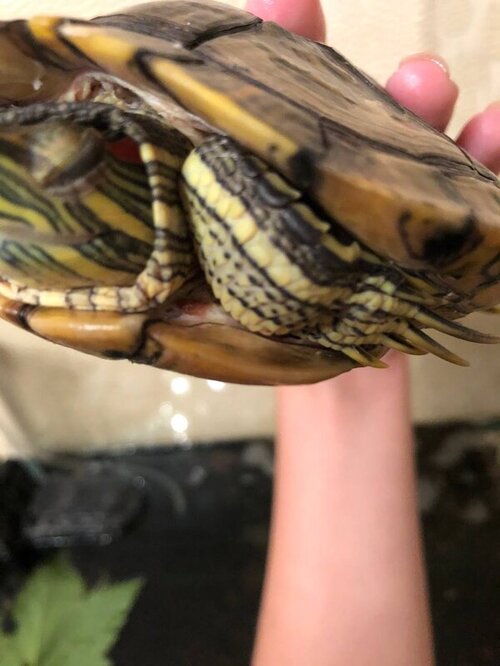 photo1656449723 (3).jpeg