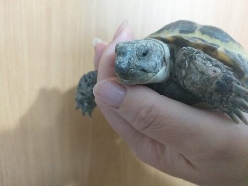 WhatsApp Image 2022-06-06 at 16.27.51.jpeg