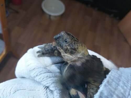 WhatsApp Image 2022-06-06 at 16.34.28.jpeg