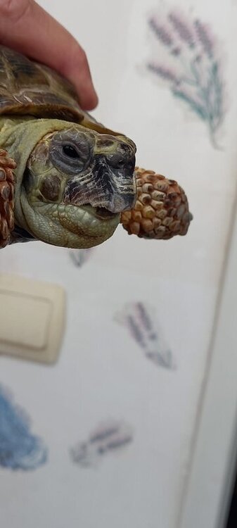 WhatsApp Image 2022-06-22 at 06.00.26.jpeg