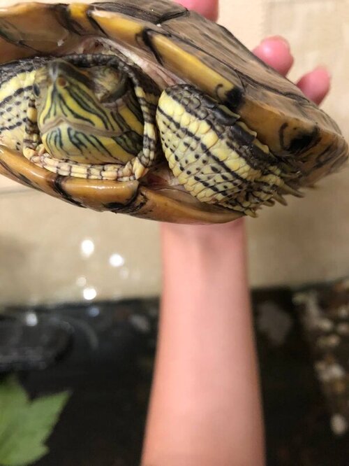 photo1656449723 (1).jpeg