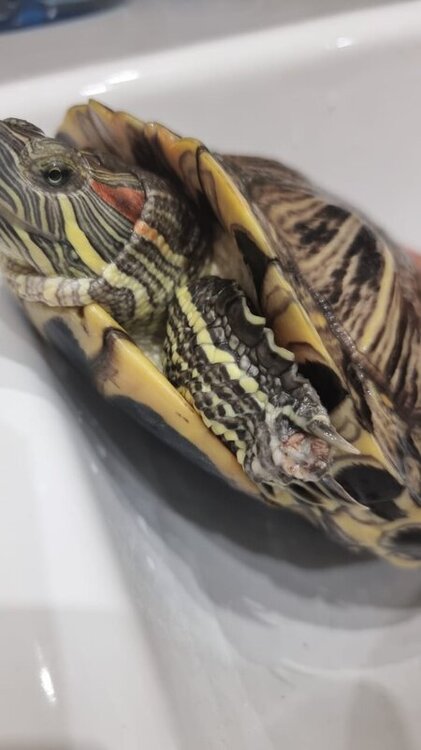 WhatsApp Image 2022-06-10 at 14.16.33.jpeg