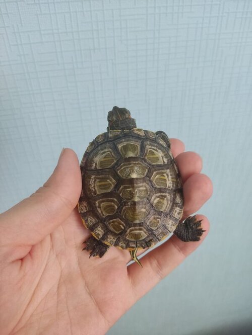 WhatsApp Image 2022-06-29 at 12.15.44.jpeg