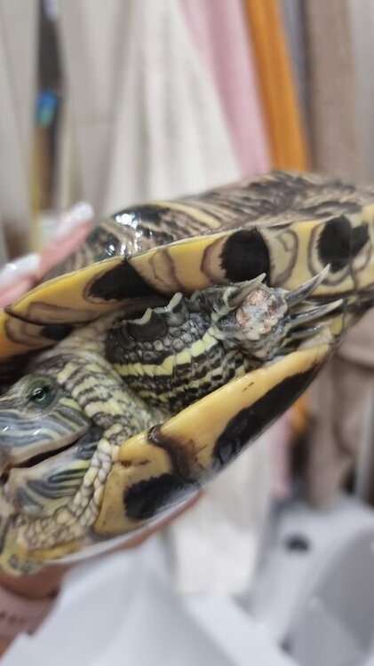 WhatsApp Image 2022-06-10 at 14.16.34 (1).jpeg