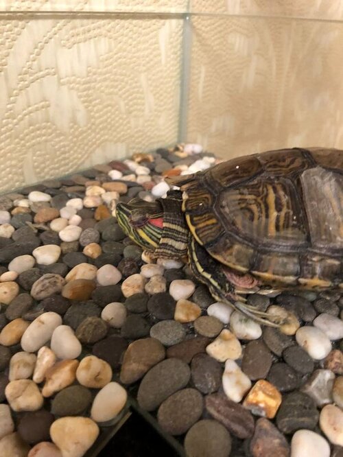 photo1656449600 (2).jpeg