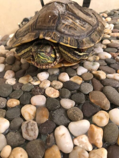 photo1656449600 (1).jpeg