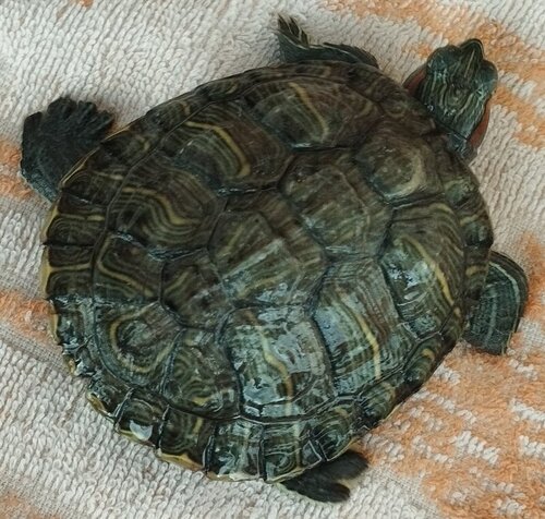 IMG_20220714_190218 (1).jpg