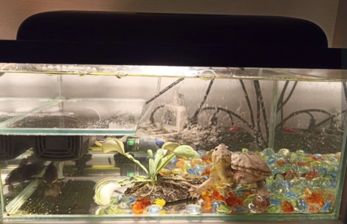 Снимок экрана (81).png