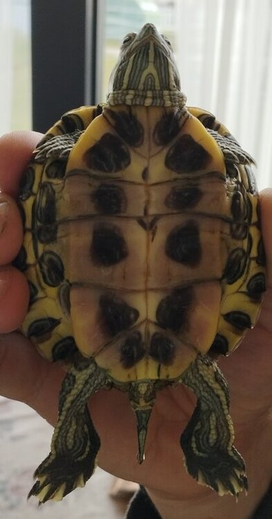 IMG_20220714_190249 (1).jpg