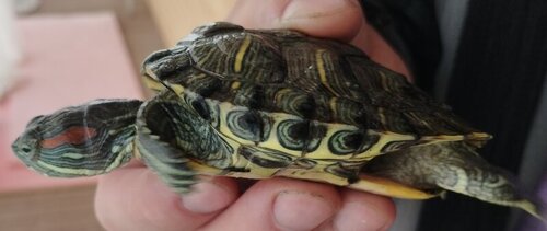 IMG_20220714_190210 (1).jpg