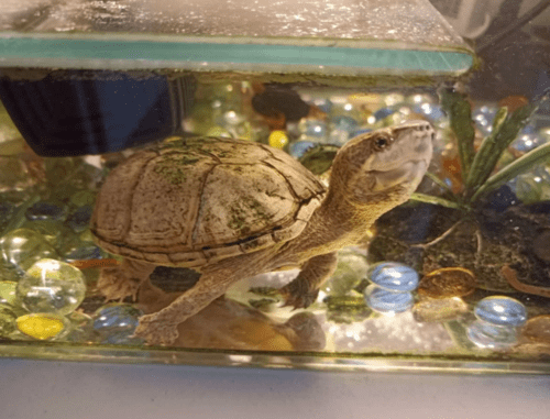 Снимок экрана (82).png