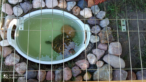 2022-07-03 18-42-35.JPG