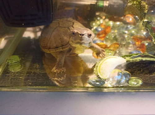 Снимок экрана (80).png