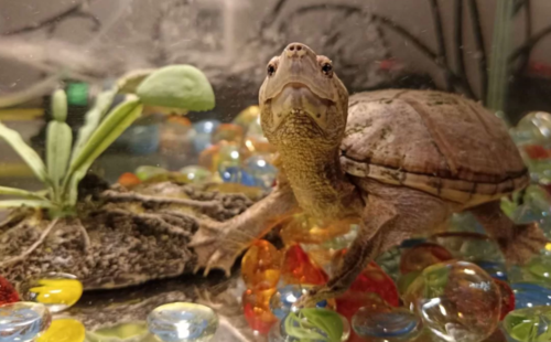 Снимок экрана (83).png