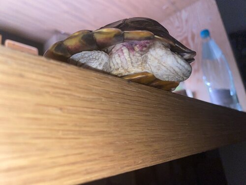 photo_2022-08-13 00.28.36.jpeg