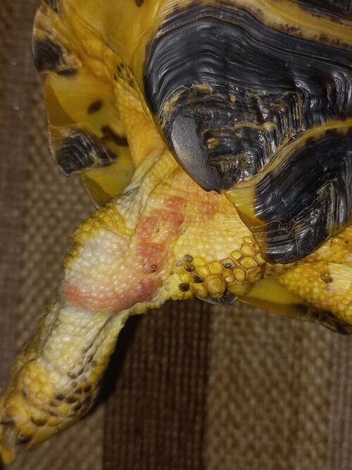 photo_2022-08-26_17-50-24 (3).jpg