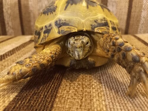 photo_2022-08-26_17-50-24 (4).jpg