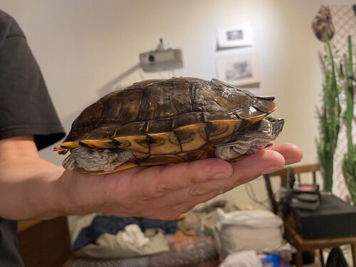 photo_2022-08-13 00.28.50.jpeg