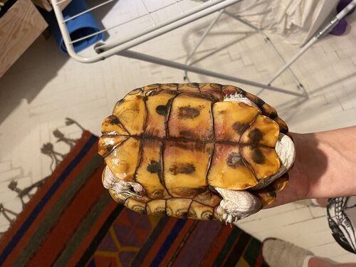 photo_2022-08-13 00.29.35.jpeg