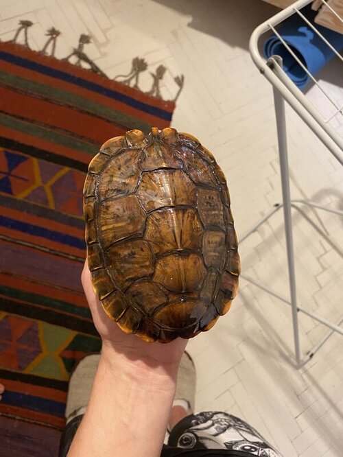 photo_2022-08-13 00.29.24.jpeg