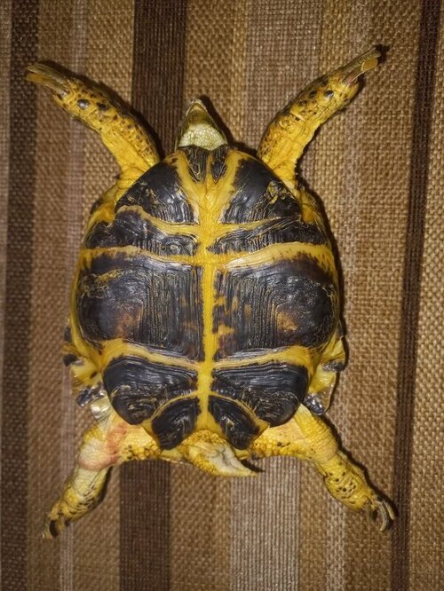 photo_2022-08-26_17-50-24 (2).jpg