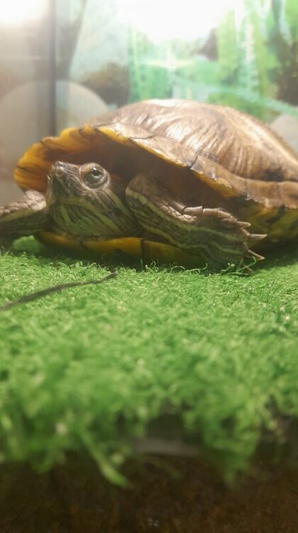 WhatsApp Image 2022-08-08 at 10.51.28.jpeg