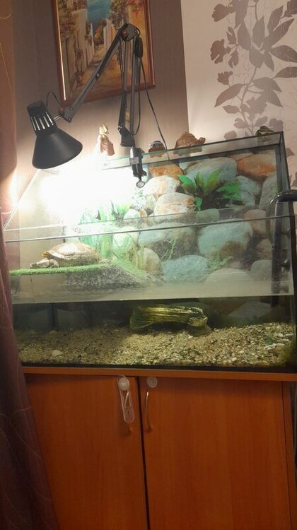 WhatsApp Image 2022-08-08 at 10.51.01.jpeg